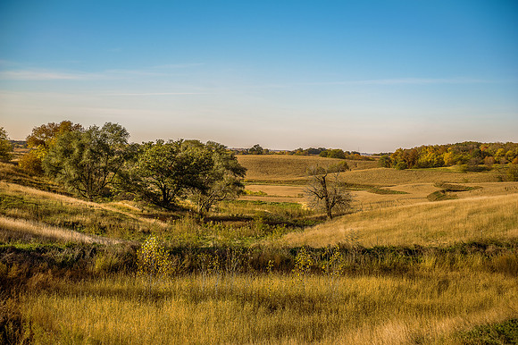 Rolling Hillside in SW Iowa