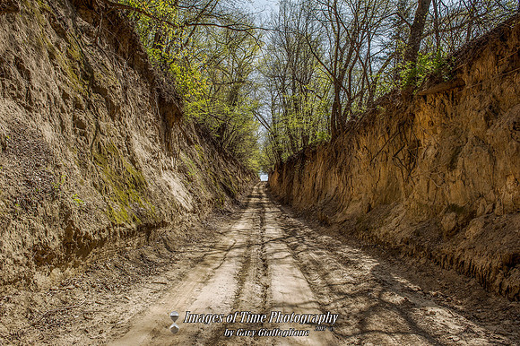 Dirt Road 1_