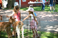 Cottonwood Hill Farms