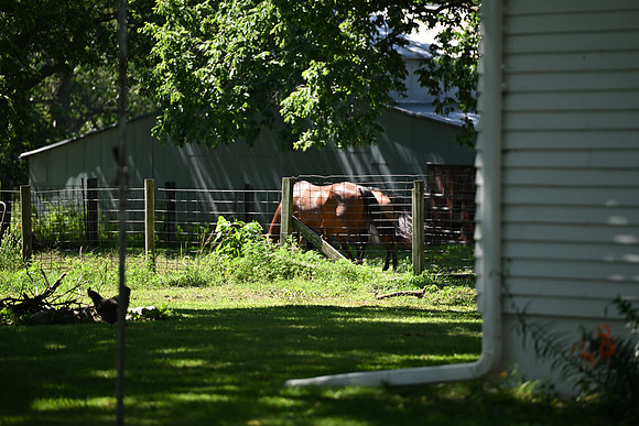 MRG_0098