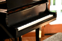 "Piano Recital" 3:30 on July 13 2026
