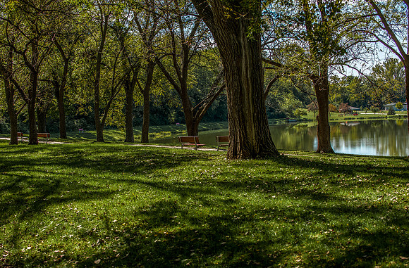 Park1_