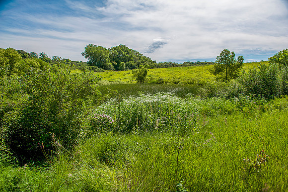 Hillside 1_