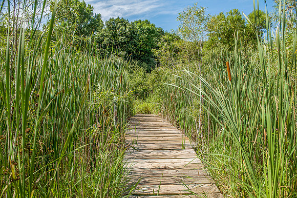 Marshlans bridge_