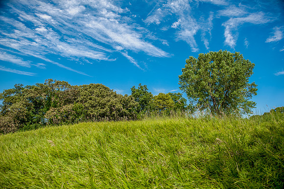 Mile Hill 2_
