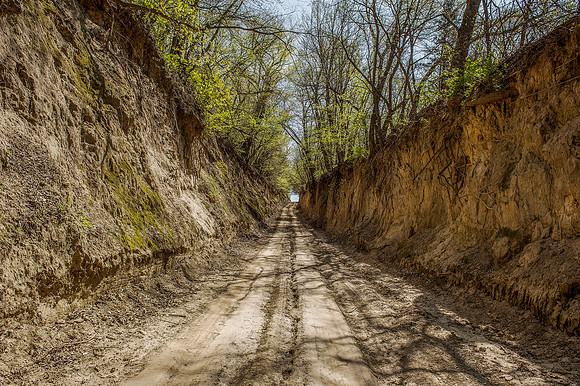 Dirt Road 1_
