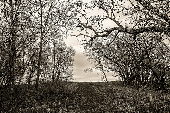 Path to the Sky_blk