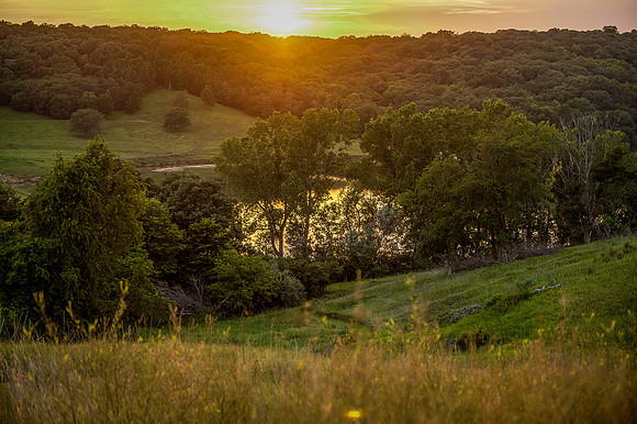 Pony Creek