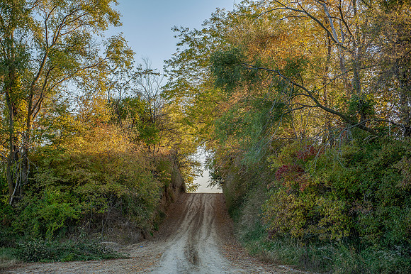 Dirt Road 1