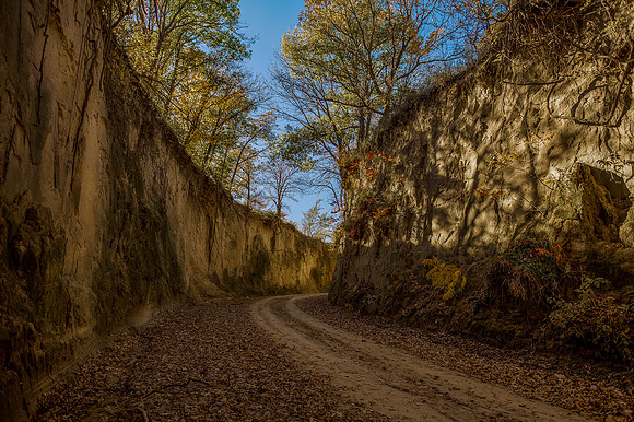dirt road _