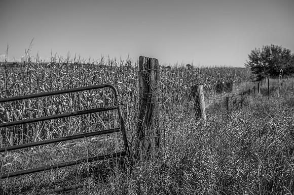 _Gate n post blk