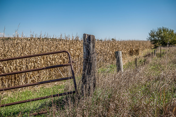 _Gate n post