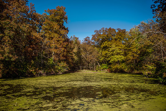 _Walking Bridge4
