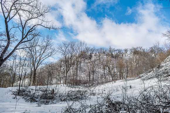 West Oak 1_