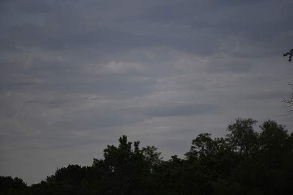 _MRG0325