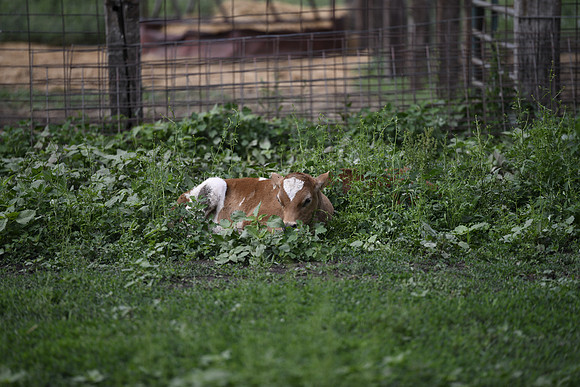 _MRG0022