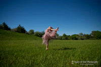 _MRG0841 copy