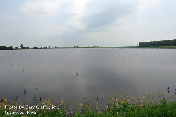 Bartlett IA _ (1)