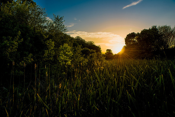 Mile Hill Lake 4_