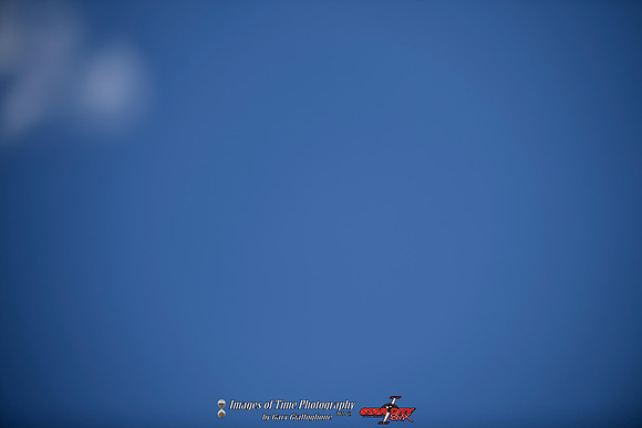 _MRG1137