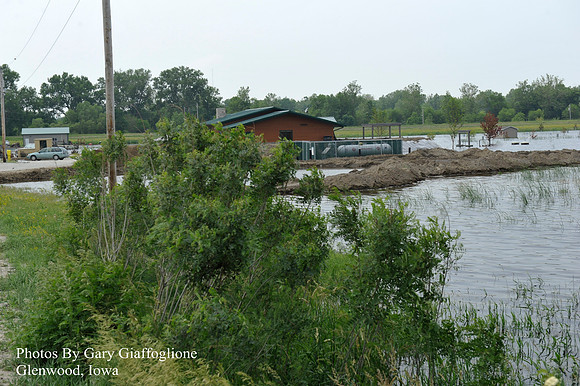 Bartlett IA _ (6)