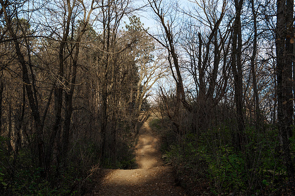 Trail 1_