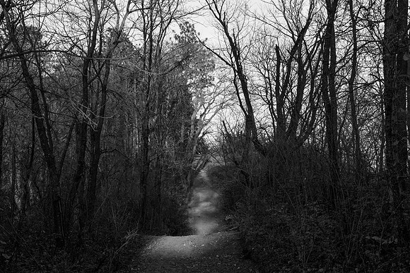 Trail 1blk_