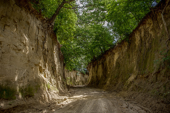 Enchanted Pathway1_
