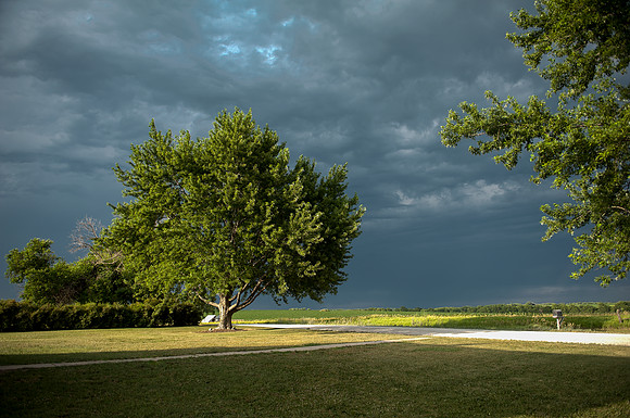 Schnoor Farm 7_