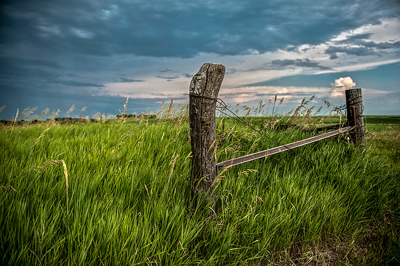 Schnoor Farm 6_
