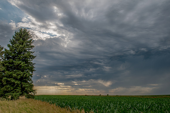 Schnoor Farm 3_