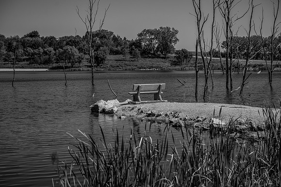 Willow Lake blk_