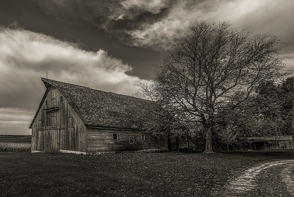 Barn 1sep_