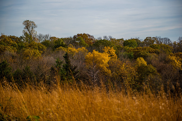 Waubonsie St Park 4_