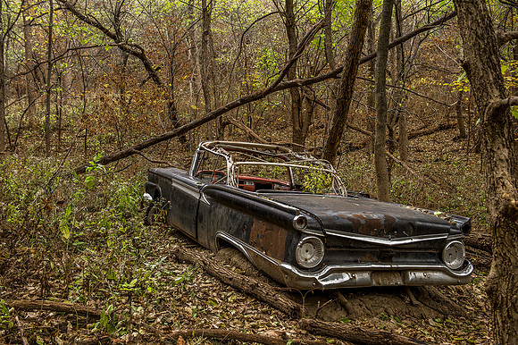 Ford in Woods2_
