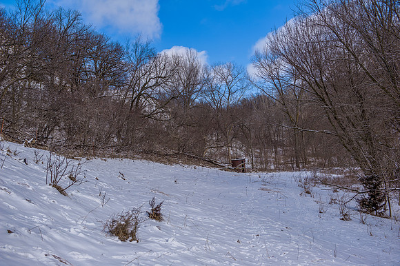 Hillside snow_2_