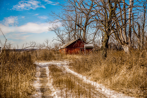 Shed4_