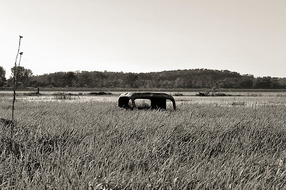 Truck in Grass_sep