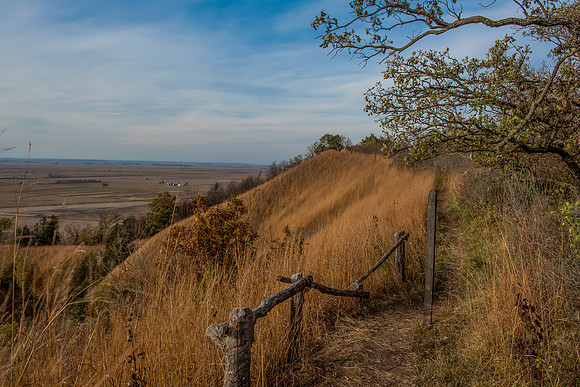 Lookout 1_
