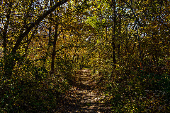 Mile Hill Lake Trail_