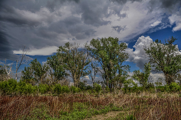 OHV PARK_