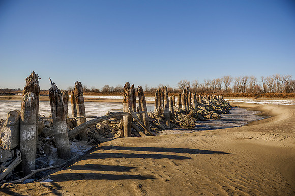 Frozen Oasis_