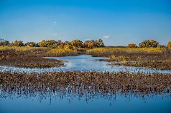 marsh1