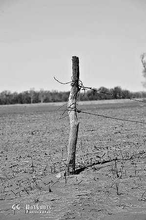 _MRG0180