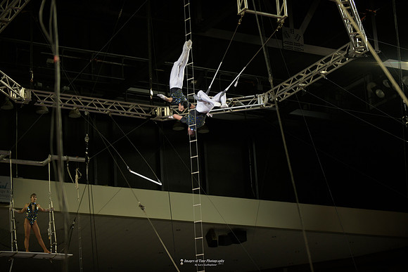 _MRG0647