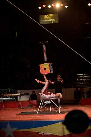 _MRG1031