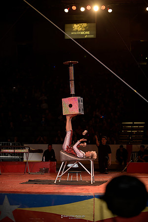 _MRG1029
