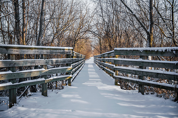 Winter Walkway_