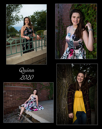 Quinn Collage 2020a_