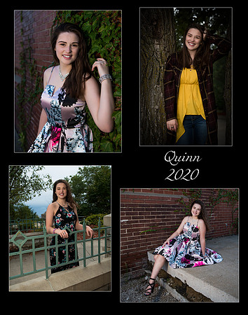 Quinn Collage 2020c_
